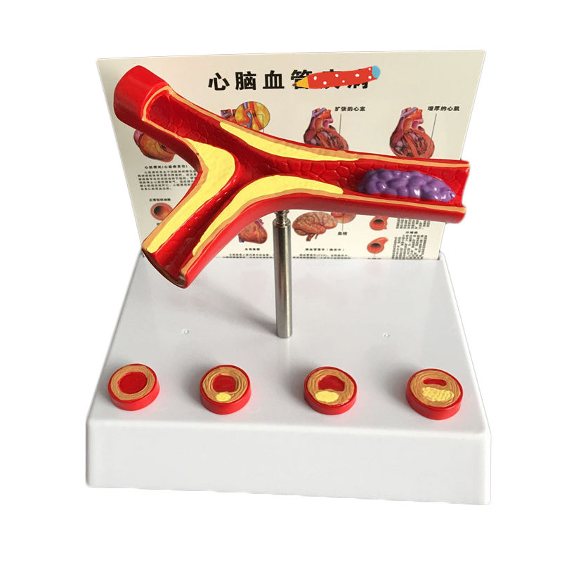 توسيع 50 مرة من مستلزمات المخت - مراجعة Medical Lab And Science وسعره
